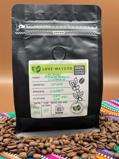 Guatemala - Geisha - Huehuetenango