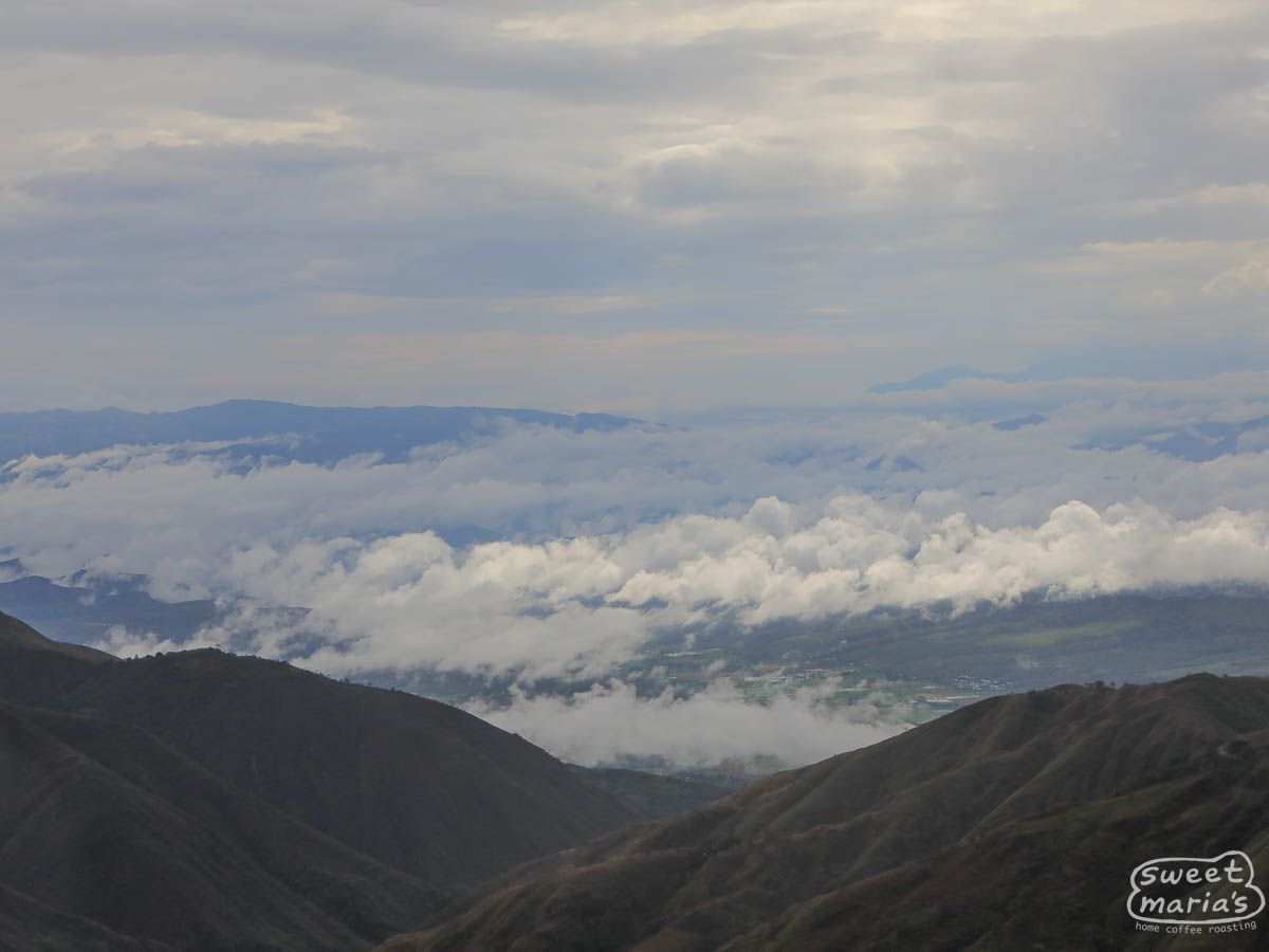Peru - Caturra Decaf - Water Process Organic