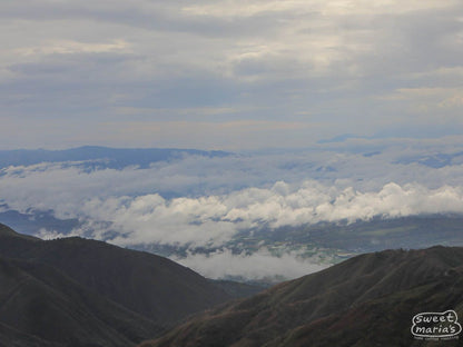 Peru - Caturra Decaf - Water Process Organic