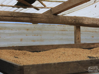 Peru - Caturra Decaf - Water Process Organic